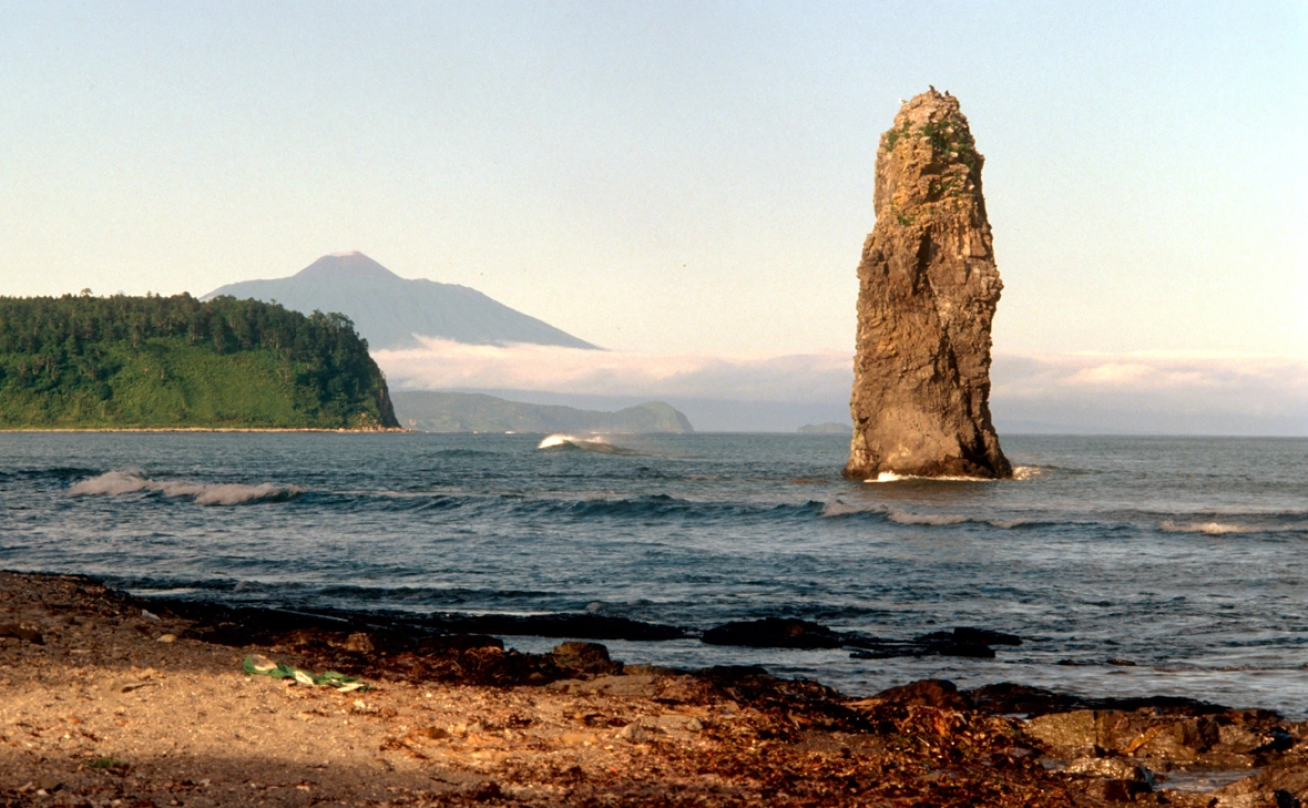 Александр Лыскин / Global Look Press