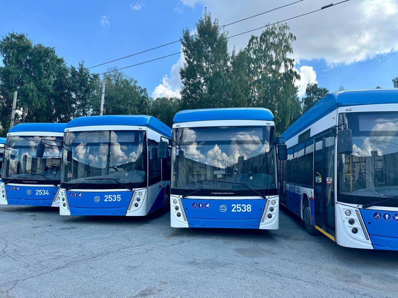 Троллейбусы с автономным ходом &laquo;Горожанин&raquo;
