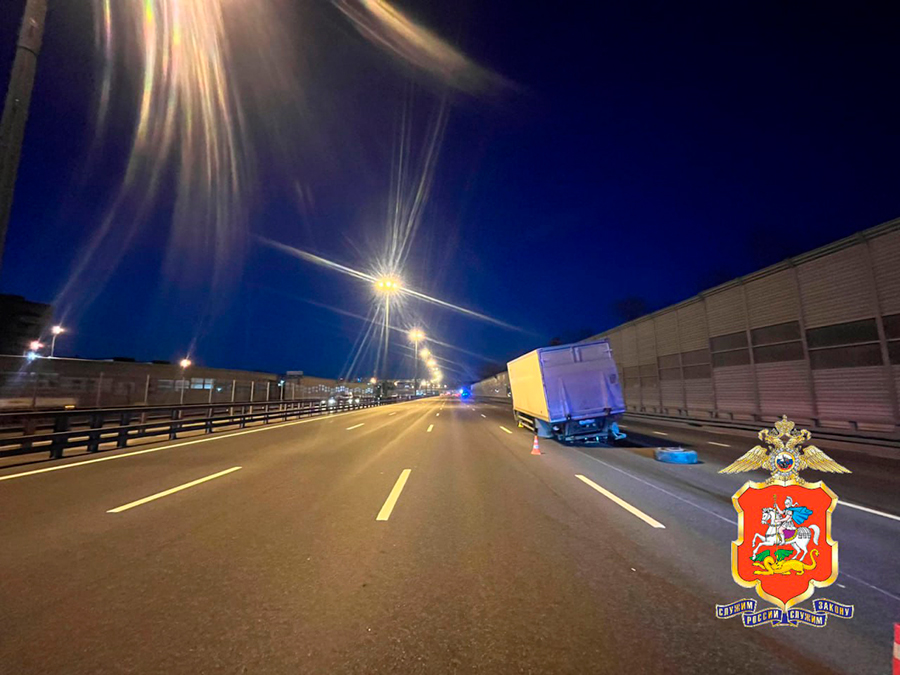 Фото: ГУ МВД России по Московской области