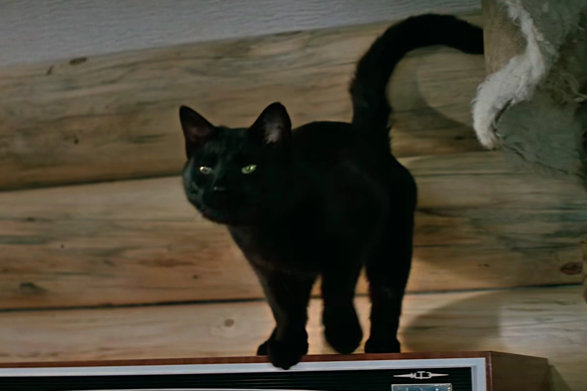 Кадр из фильма «Бриллиантовая рука» (1968) режиссера Леонида Гайдая