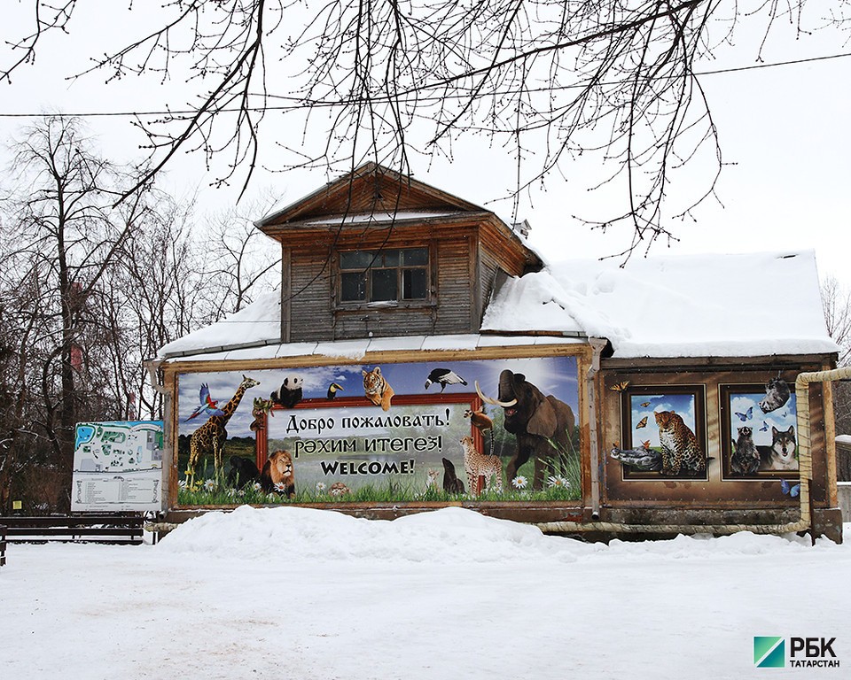 Казанский зоопарк просит власти о сафари-парке и дельфинариуме