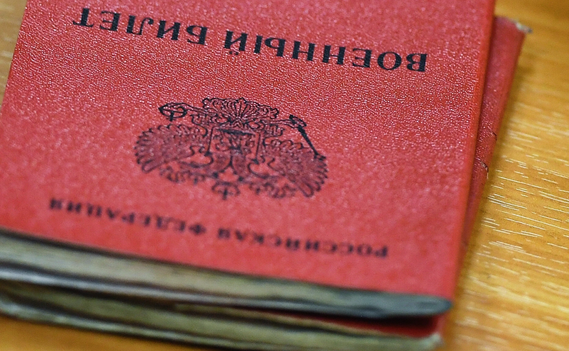 Алексей Куденко / РИА Новости