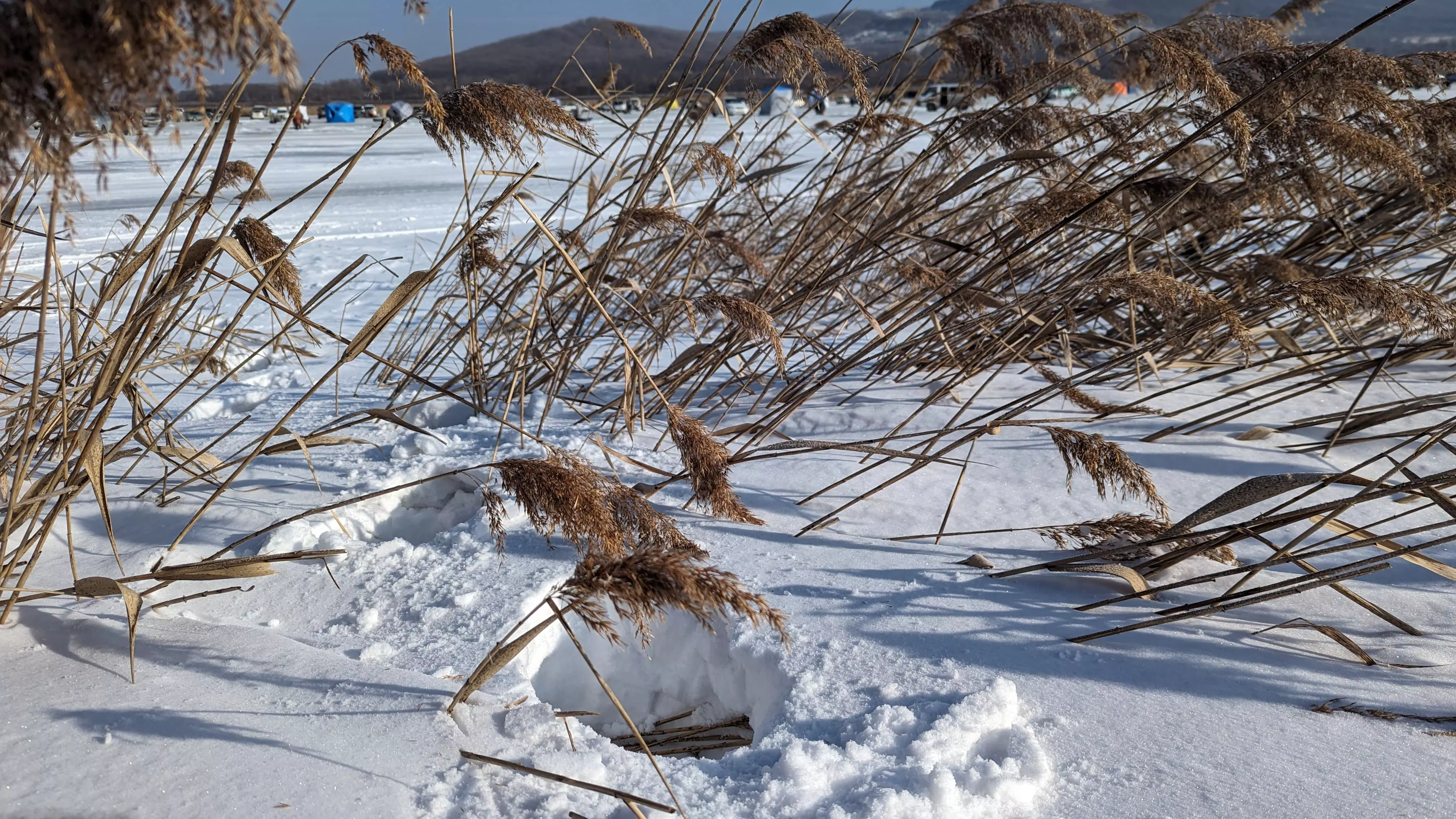 РБК Приморье