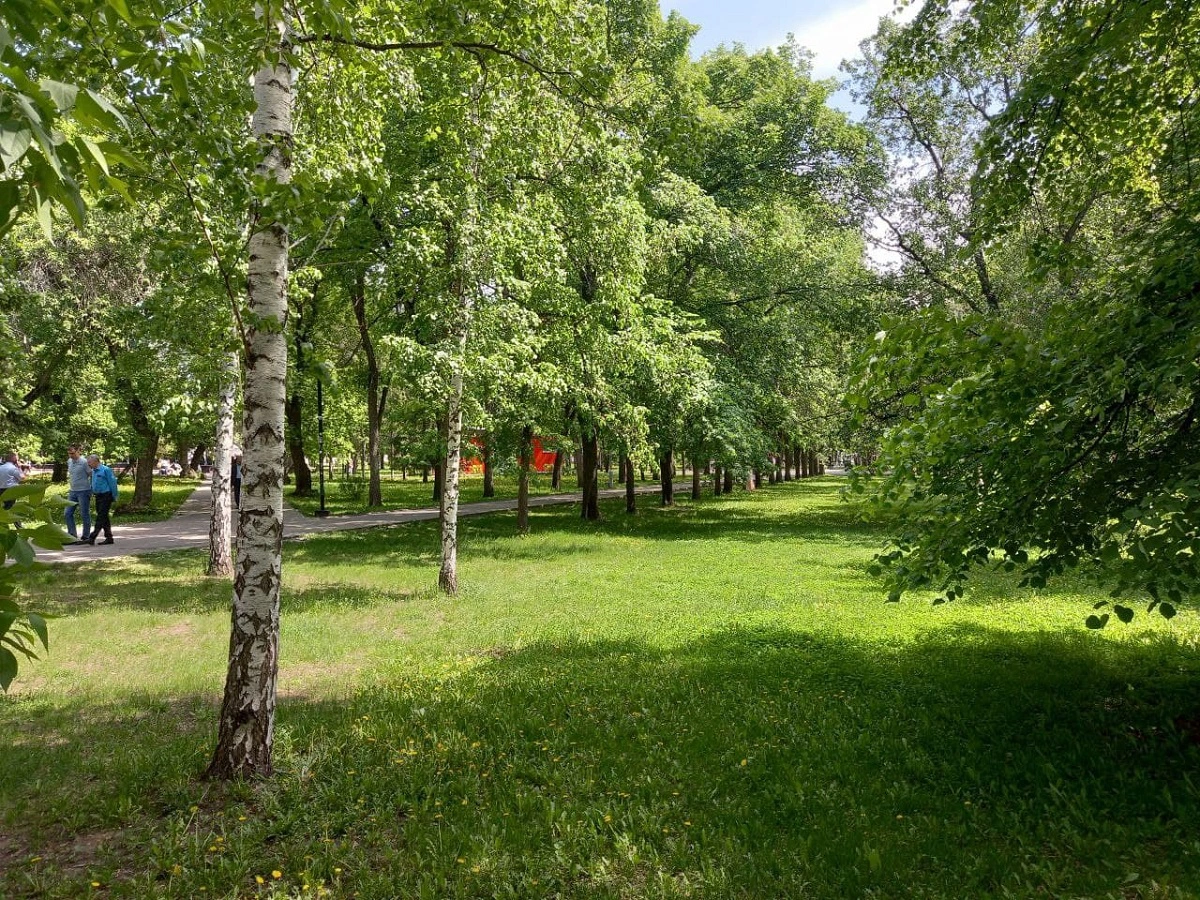 РБК Новосибирск