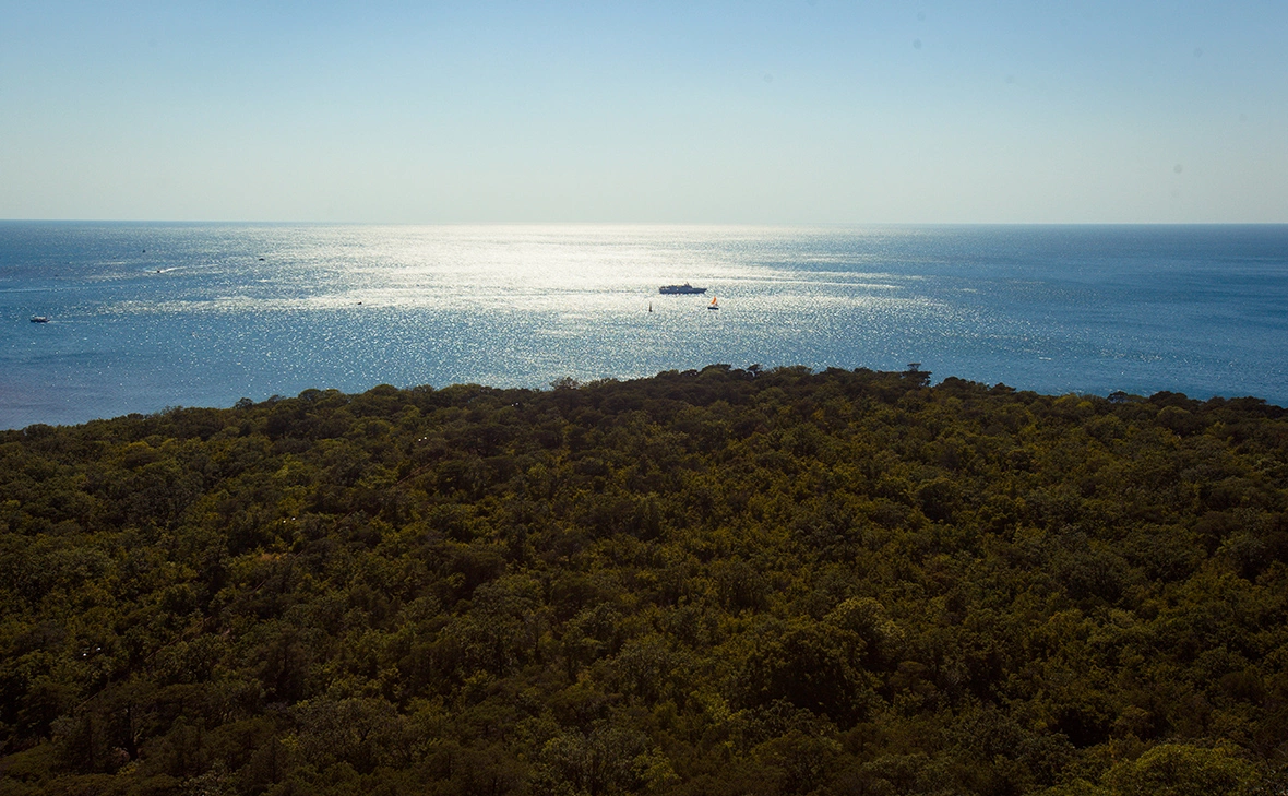 Алексей Зотов / ТАСС