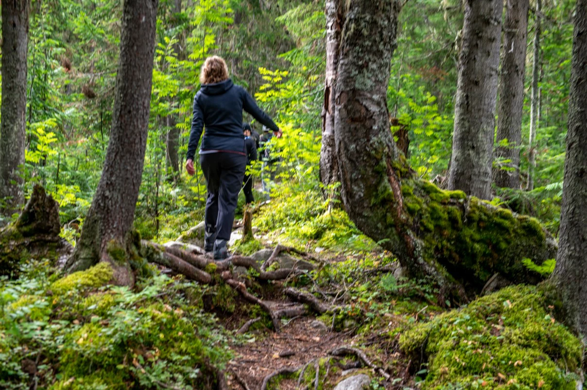 Сергей Русанов / РИА URA.RU