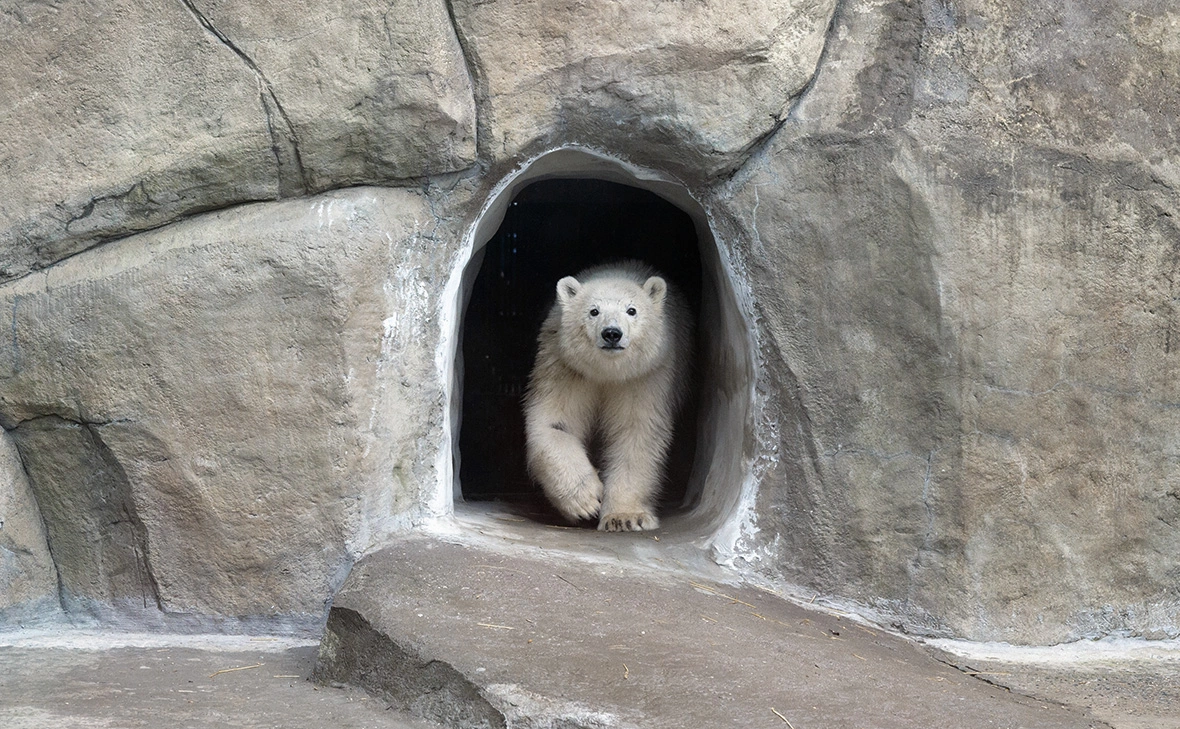 Денис Гришкин / АГН «Москва»