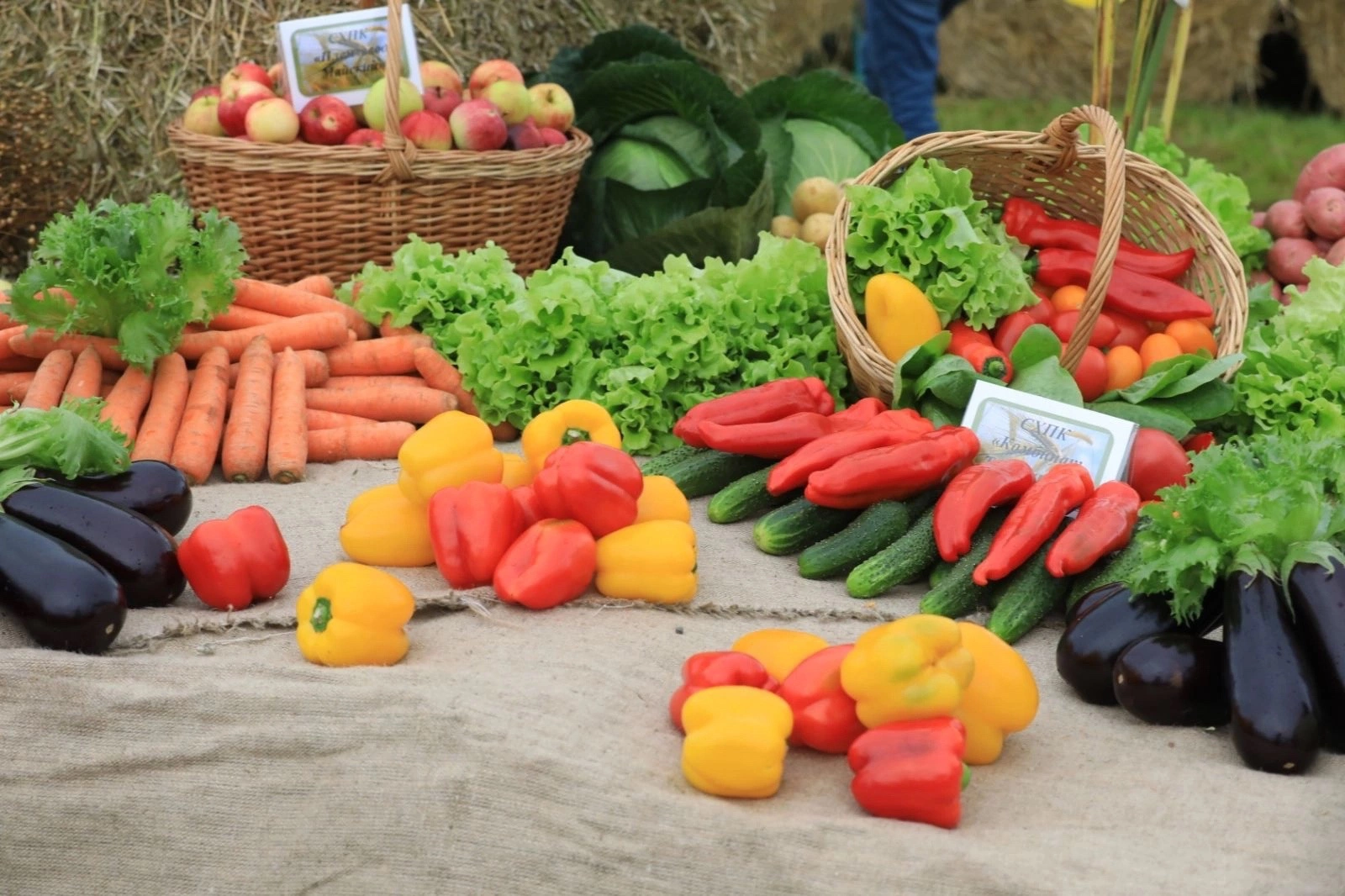 страница Олега Кувшинникова