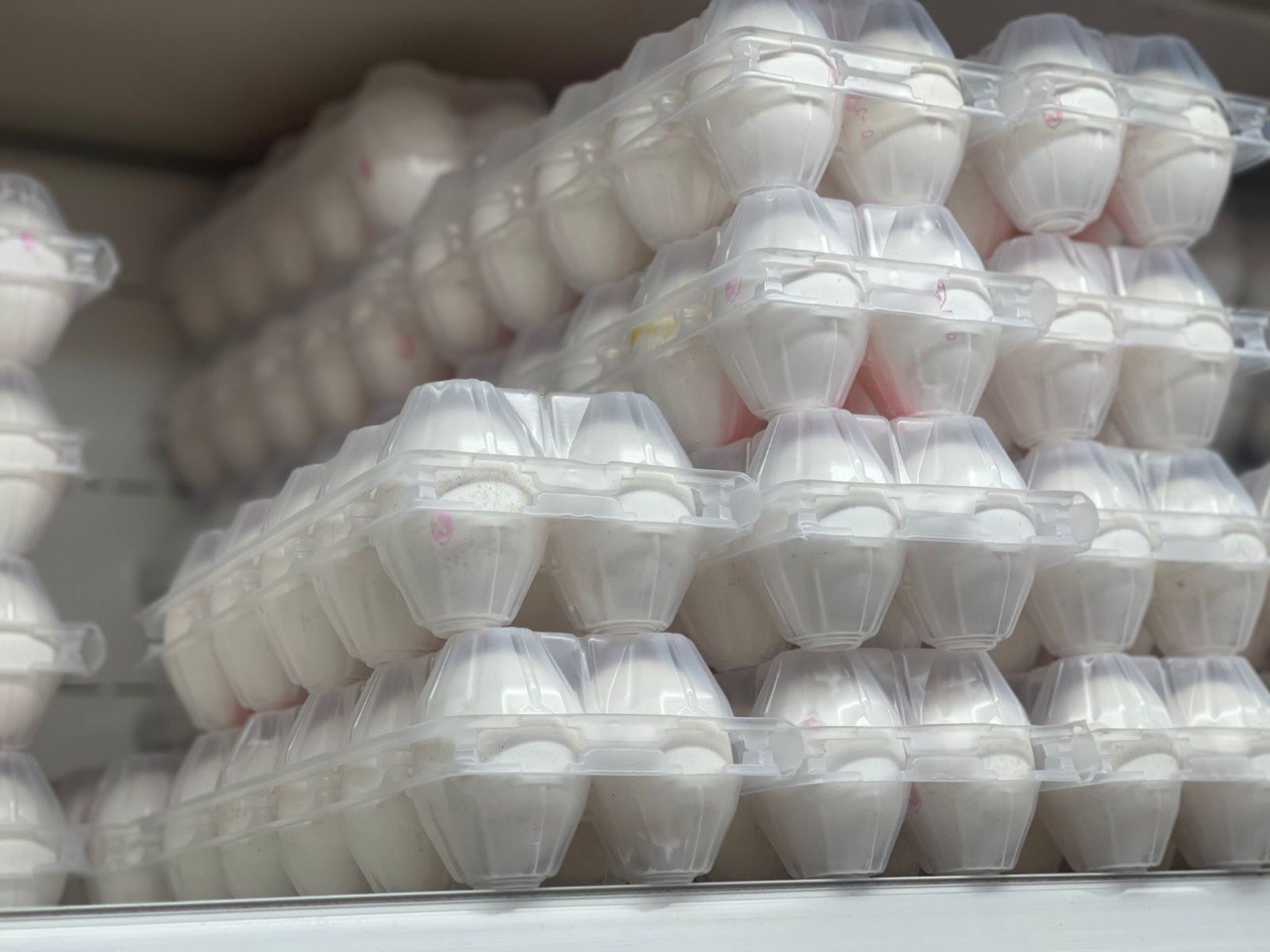 Фото: РБК Приморье