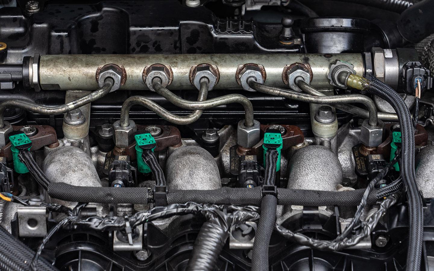 Фото: klenger / Shutterstock / FOTODOM