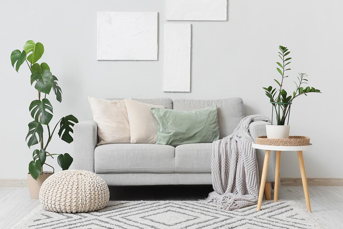 Фото: Pixel-Shot / Shutterstock / FOTODOM