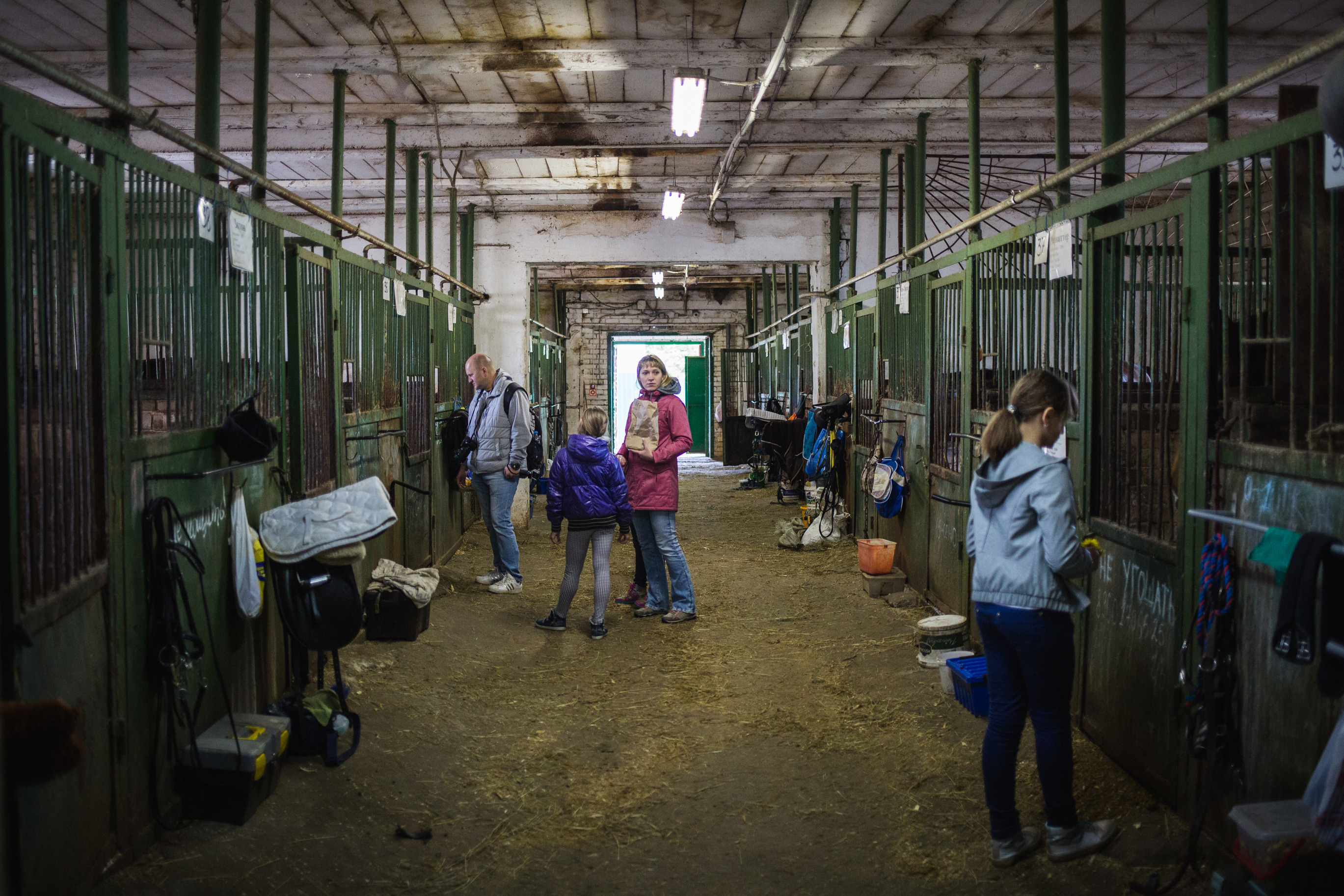 Дети против: воспитанники конной школы защищают ее собственность в суде