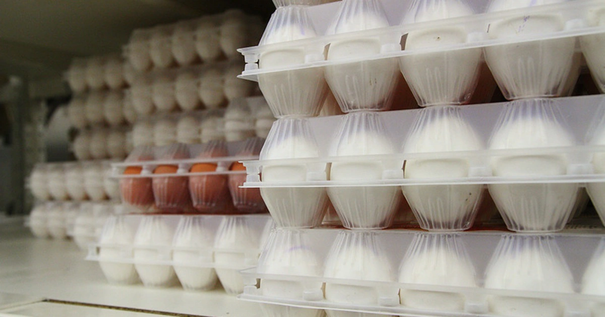 РБК Татарстан