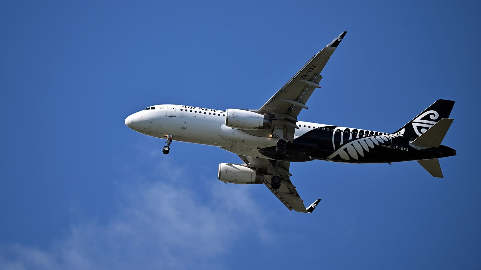 <p>Самолет авиакомпании Air&nbsp;New Zealand&nbsp;</p>