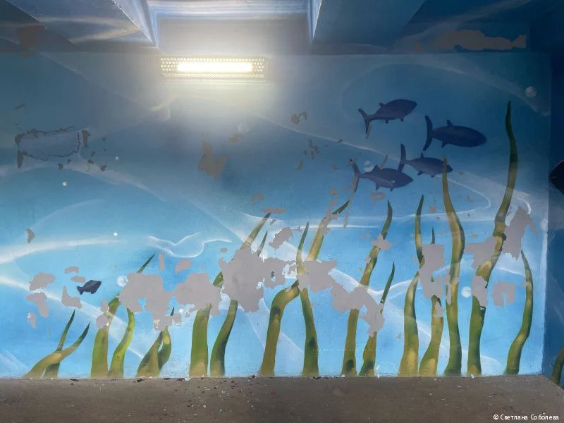 пресс-служба администрации города Перми