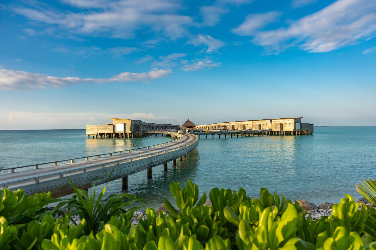 Фото: пресс-служба