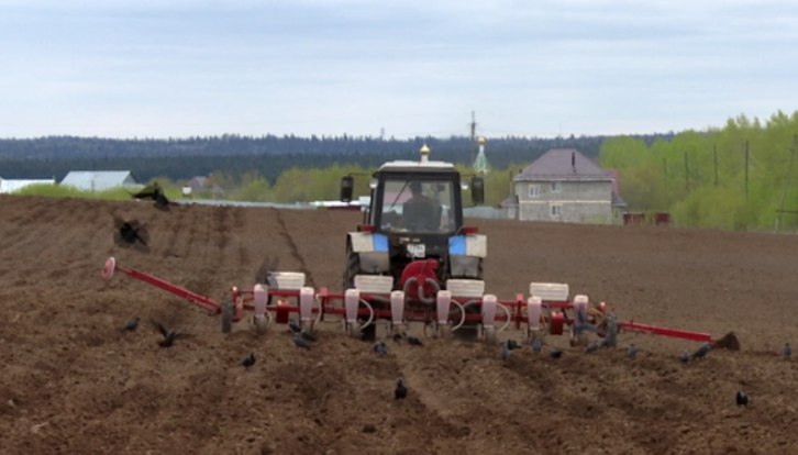 Фото: РБК Пермь