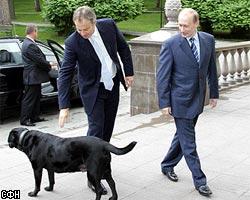 В.Путин встретился с британским премьером Т.Блэром