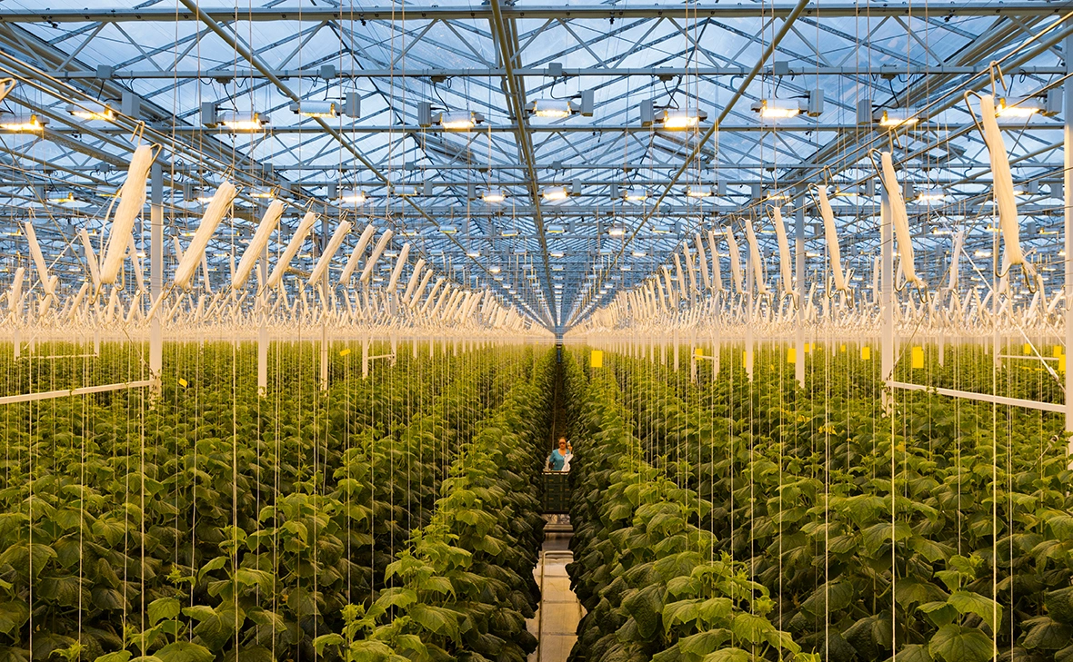 Владислав Шатило / РБК