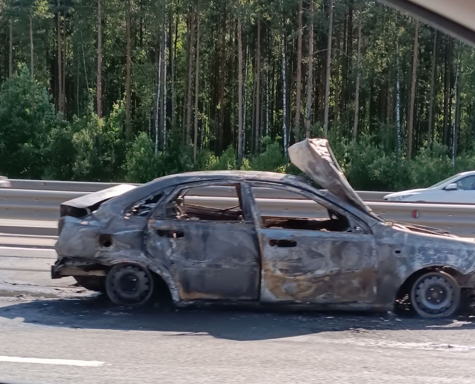 Фото: Главное управление МВД по Санкт-Петербургу и Ленинградской области,