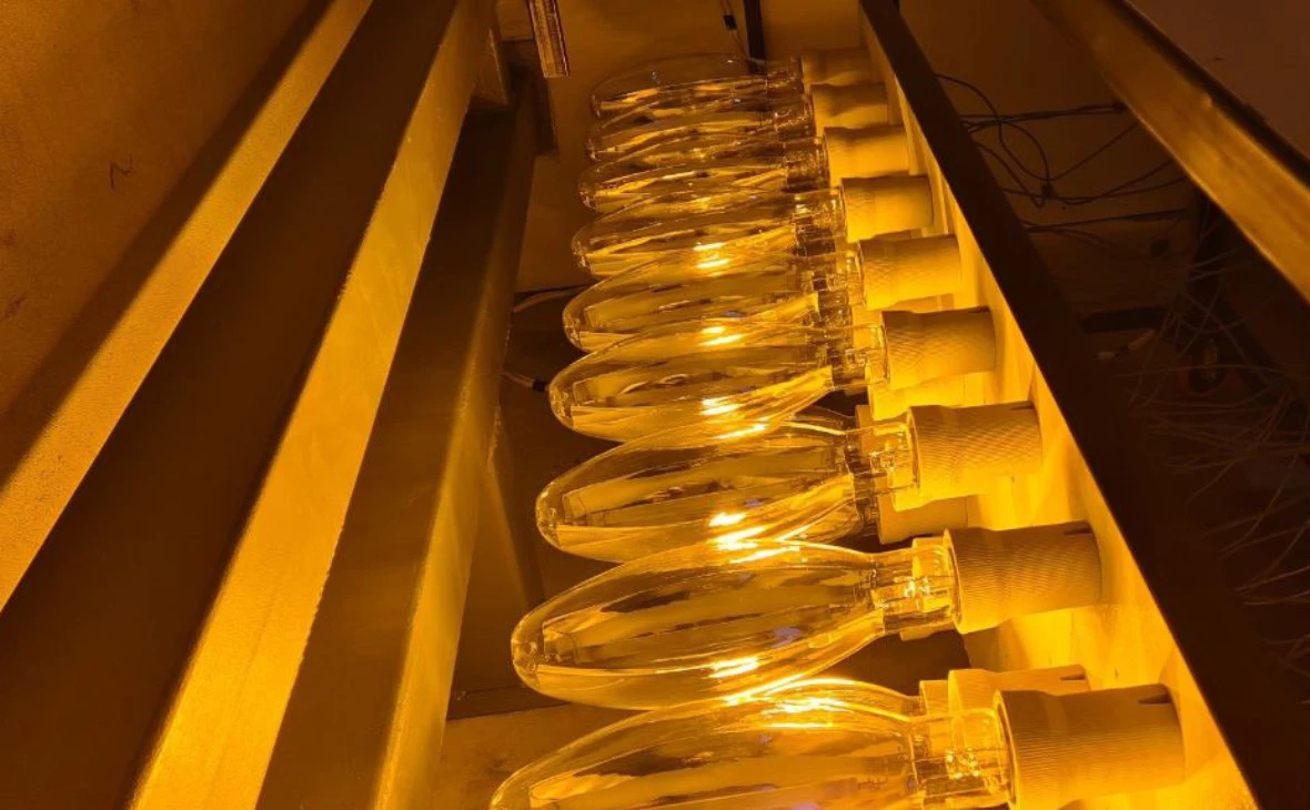 РБК Черноземье