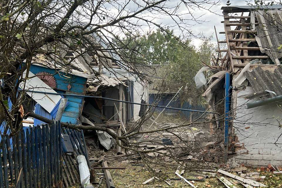 Фото: vvgladkov / Telegram