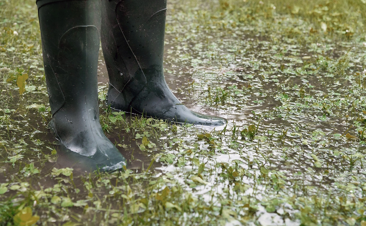 Kokhan O / Shutterstock