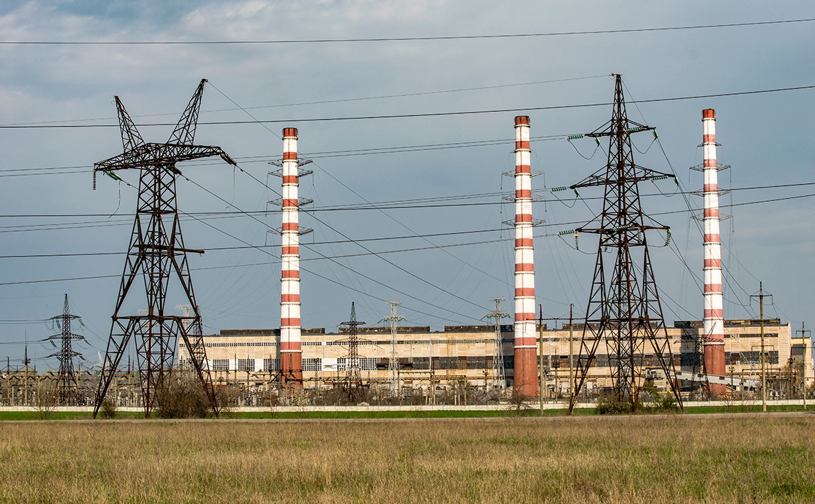 kakteen / Shutterstock