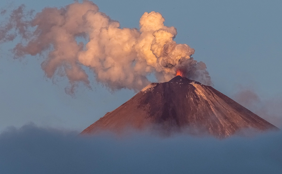 Елена Верещака / ТАСС