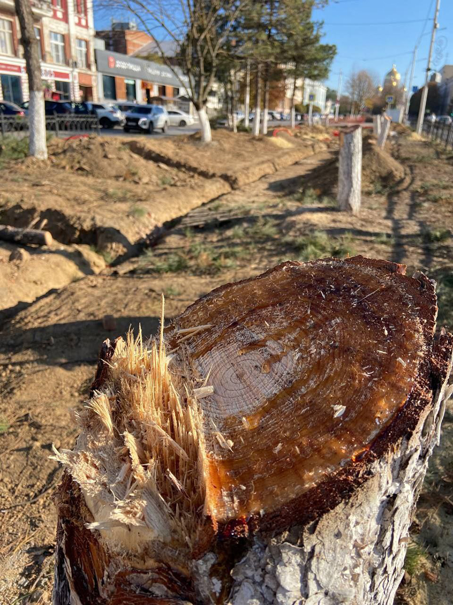 Фото: Yuri_Slusar / Telegram