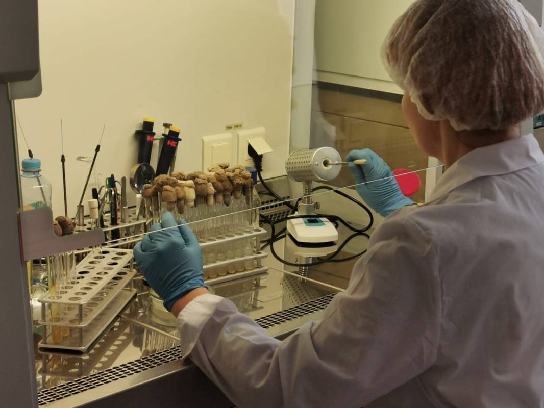 Фото: правительство Вологодской области