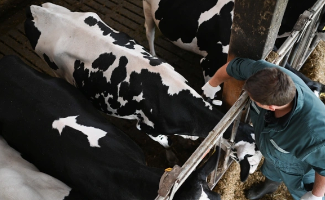 Lars Penning / dpa / ТАСС