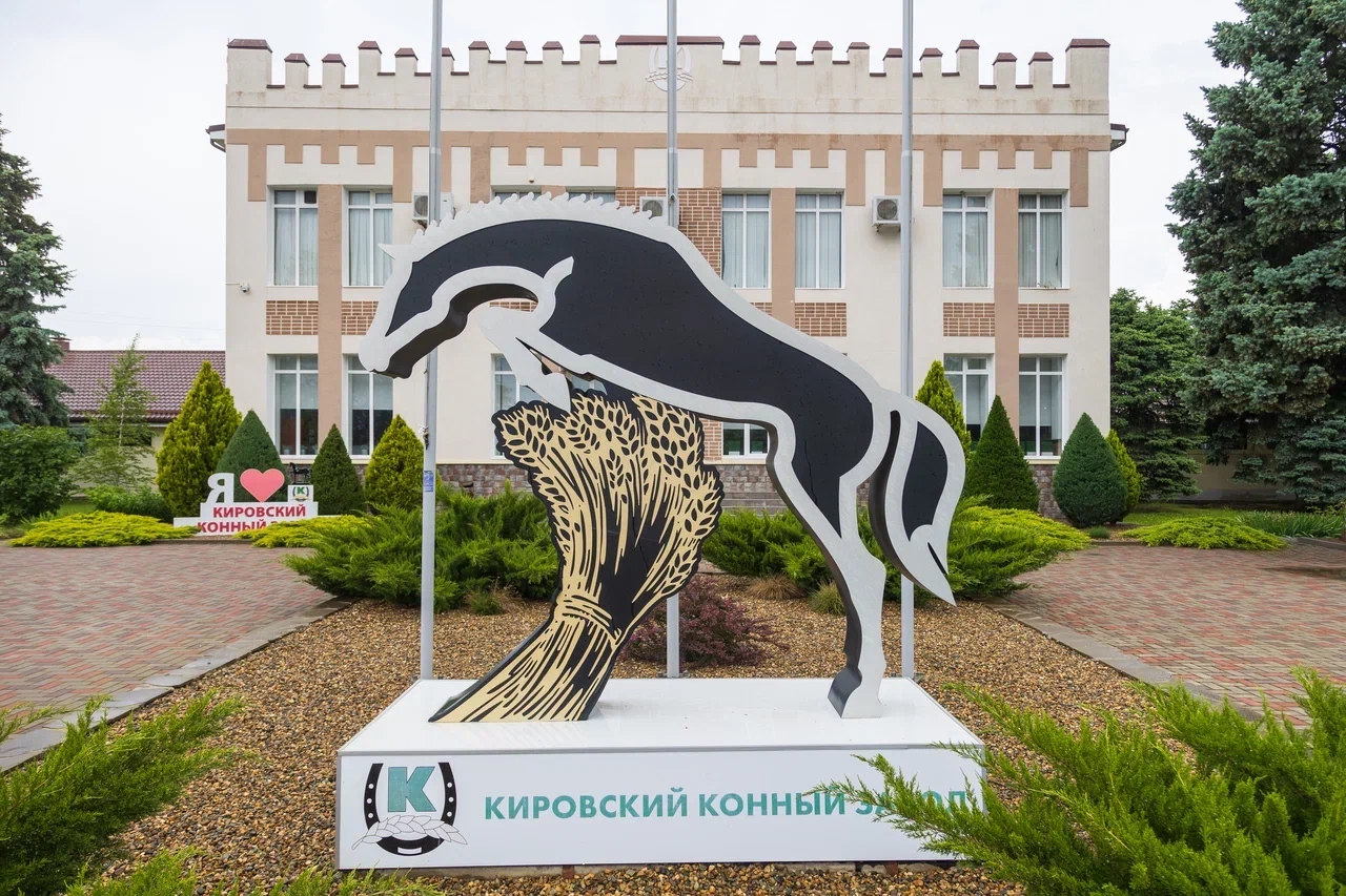 РБК Юг, Денис Демков
