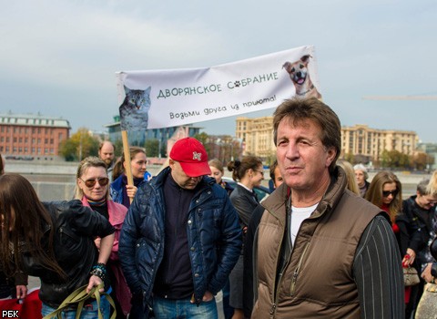 А.Макаревич и Л.Ярмольник устроили шествие в защиту дворняг