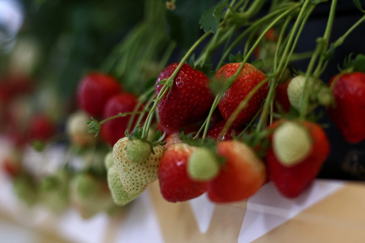 Владимир Андреев / РИА URA.RU