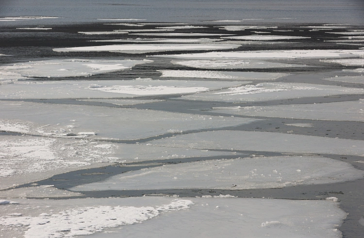 Правительство Приморского края