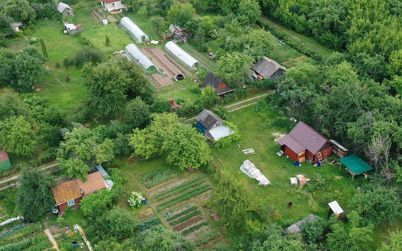 Фото: Александр Рюмин / ТАСС