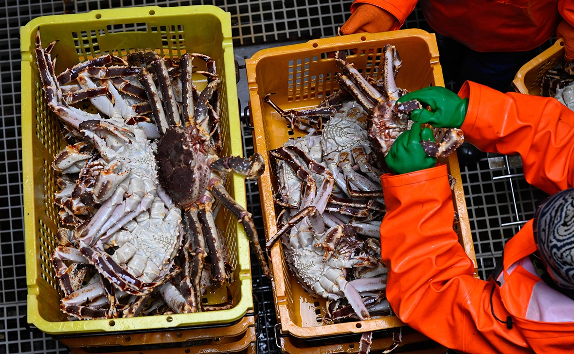 Лев Федосеев / ТАСС