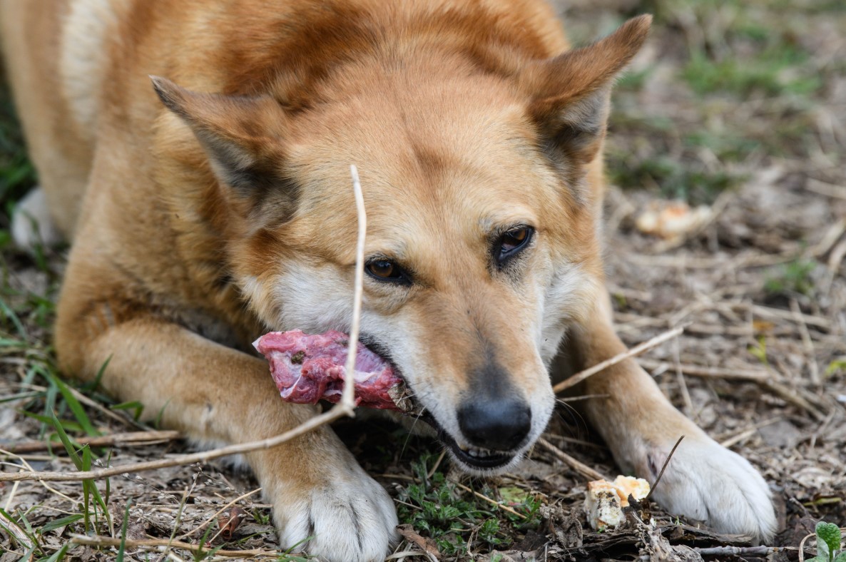 Фото: Илья Московец / URA.RU