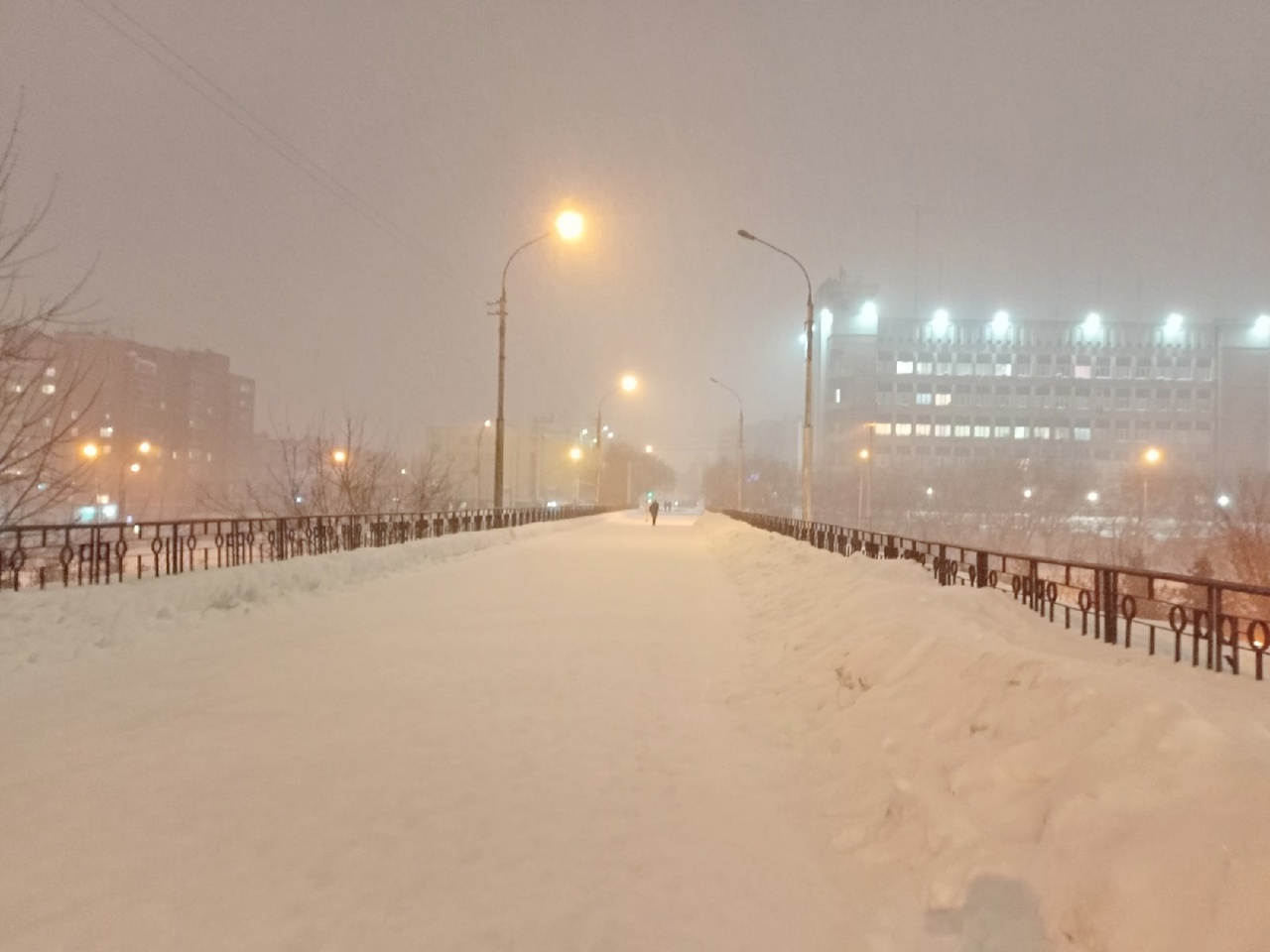 Фото: Алексей Коваленок / РБК Новосибирск