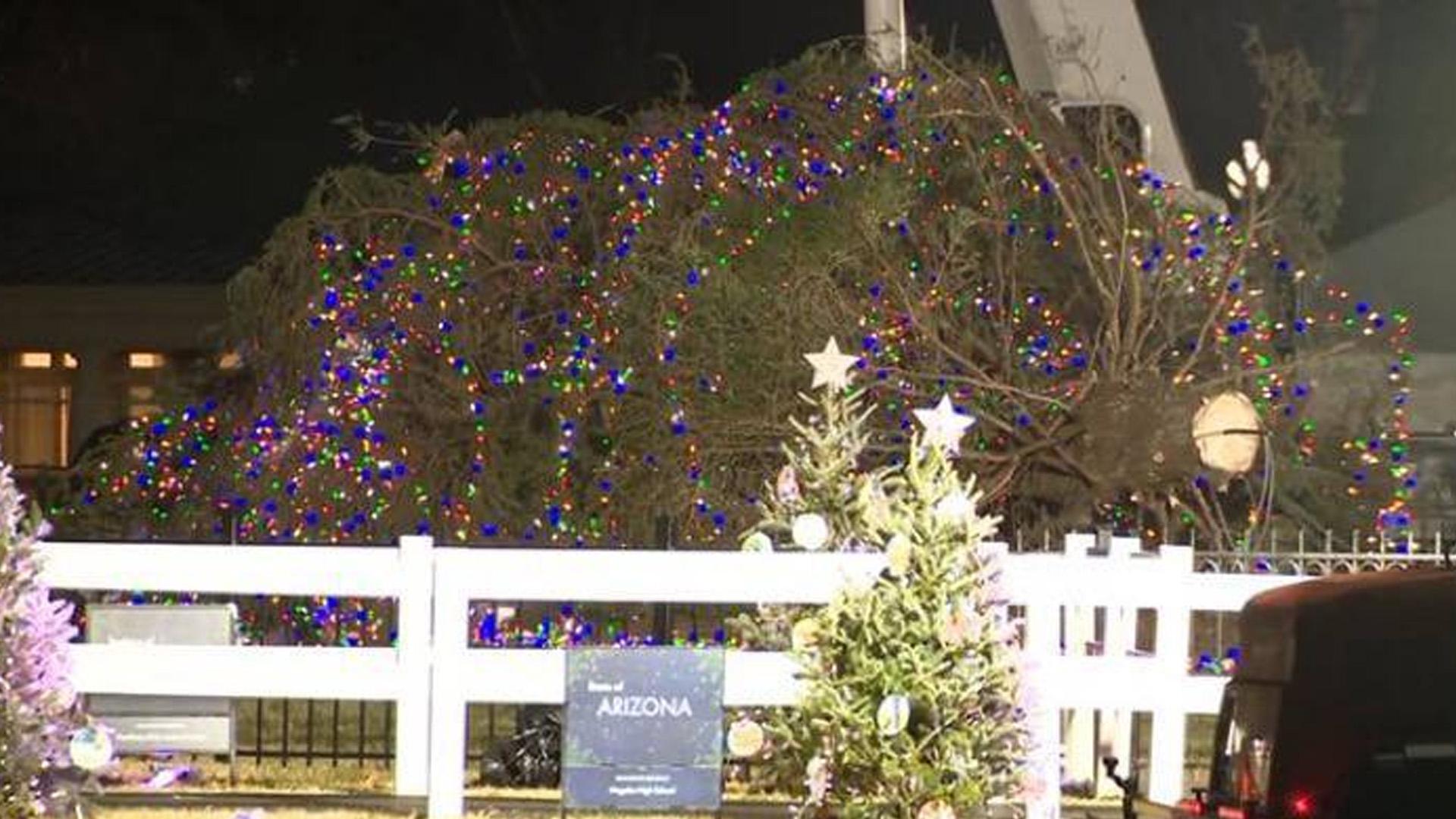 У Белого дома в Вашингтоне ветер повалил рождественскую елку