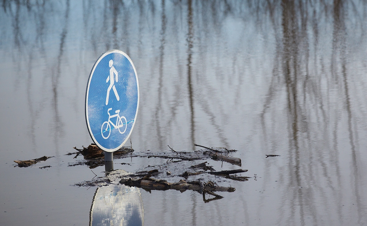 Евгений Кузьмин / РИА Новости