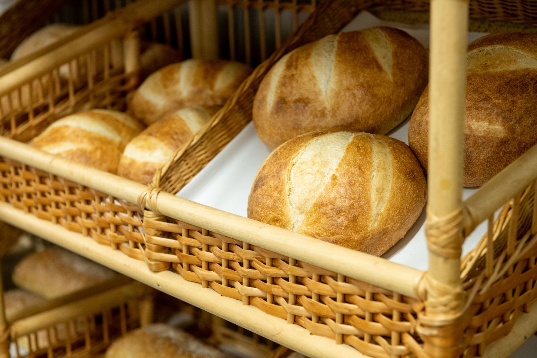 Фото: PhotoXPress.ru