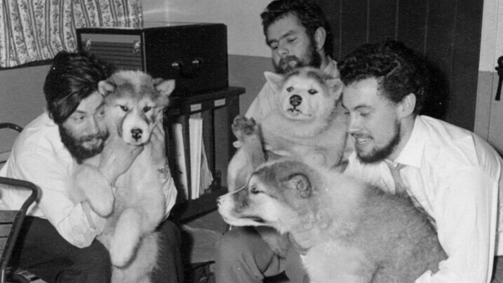 Деннис Белл (слева) с коллегами и собаками, середина зимы 1959 года на базе Адмиралтейства