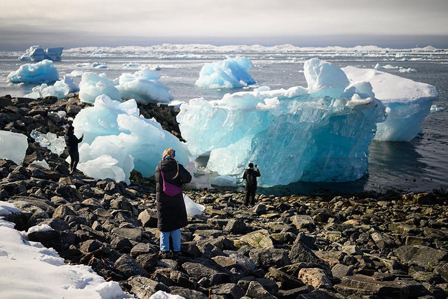Фото: Leon Neal / Getty Images