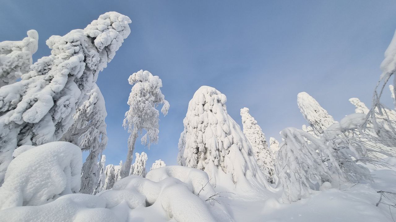Фото: РБК Пермь