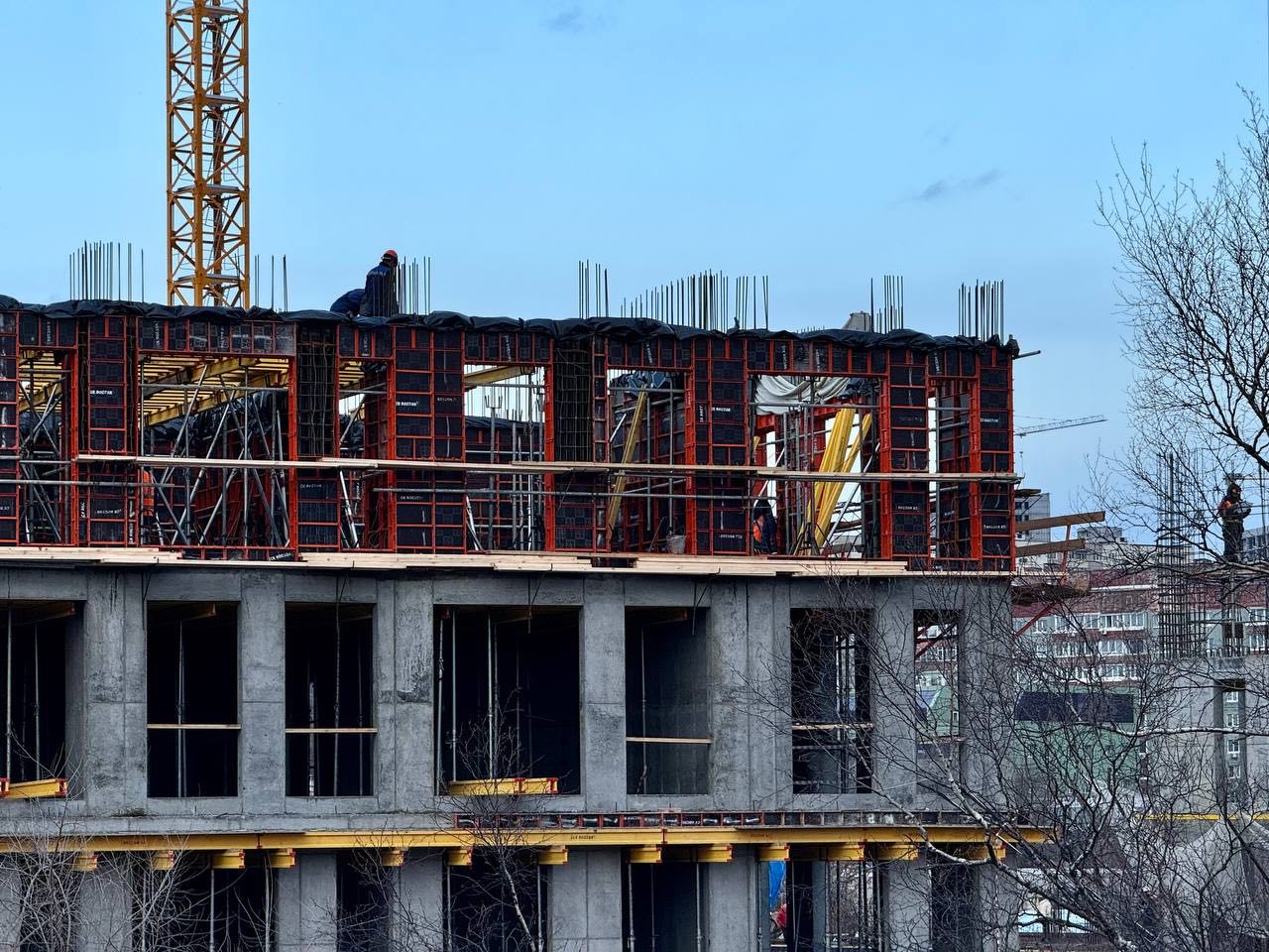 Фото: РБК Приморье