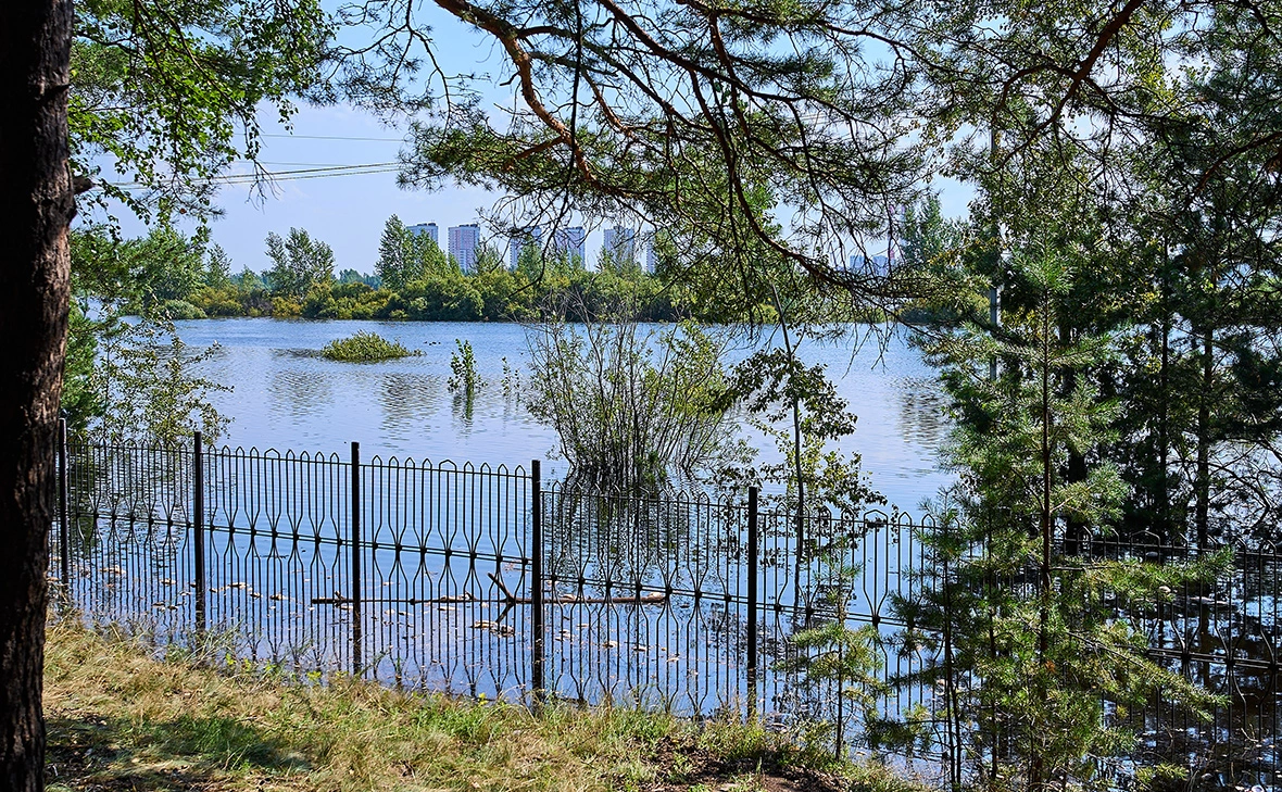 Сергей Мжельский / РИА Новости