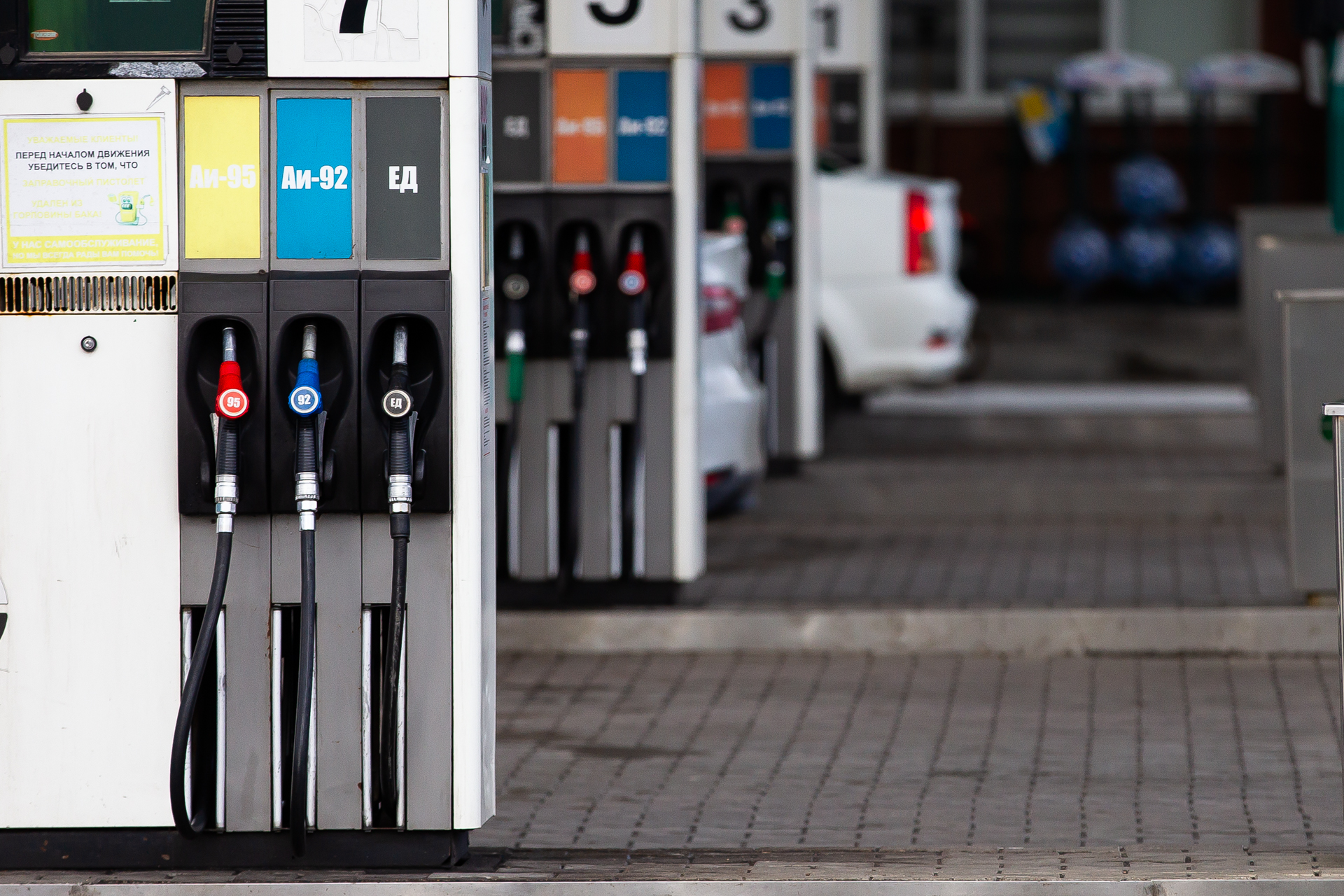 Александр Подгорчук