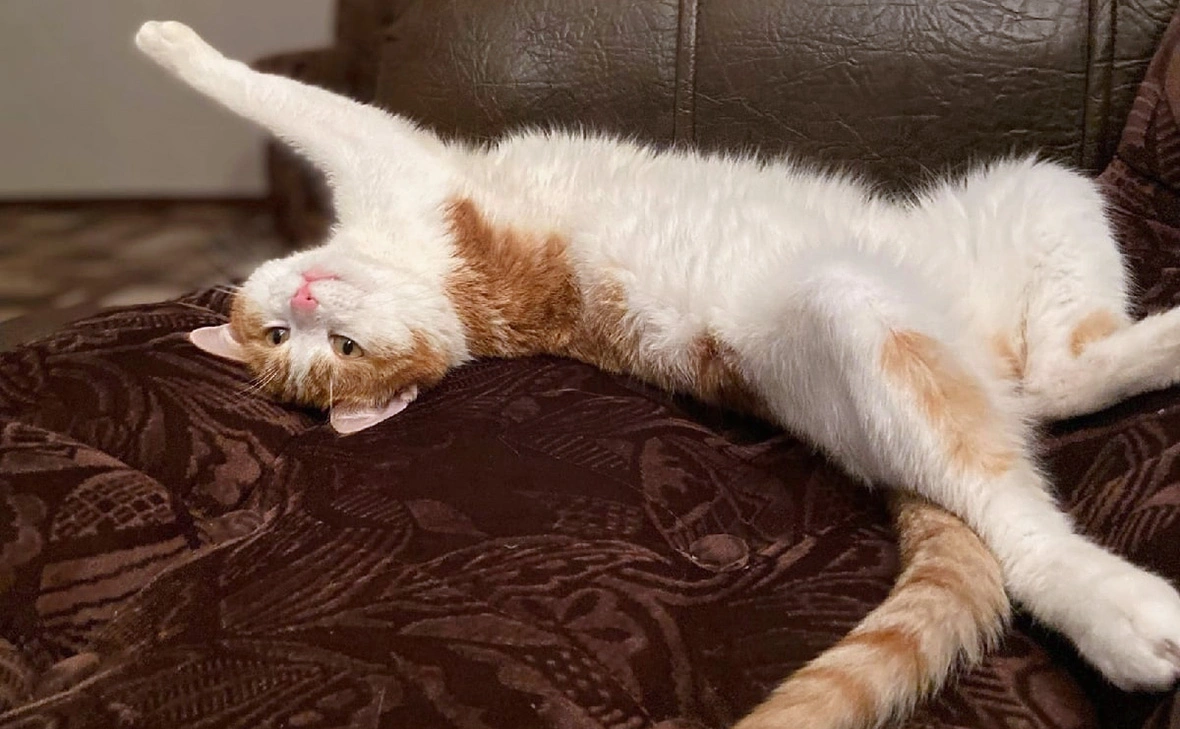 Ольга Кудряшова / VK